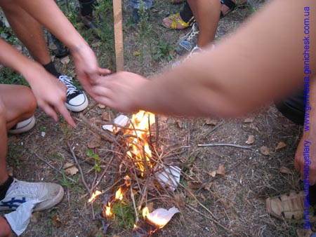 ���������� ��������. ������������ ����� 2008