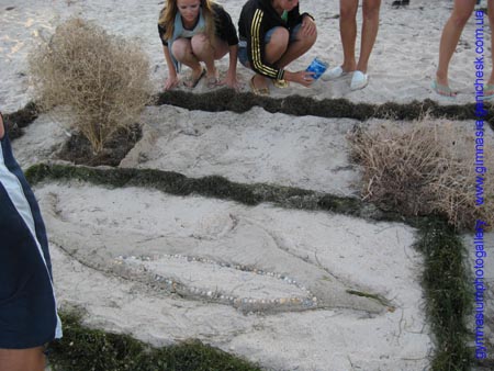 ���������� ��������. ������������ �����