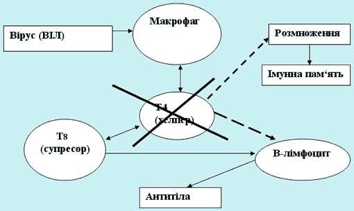  3.    ( ²)